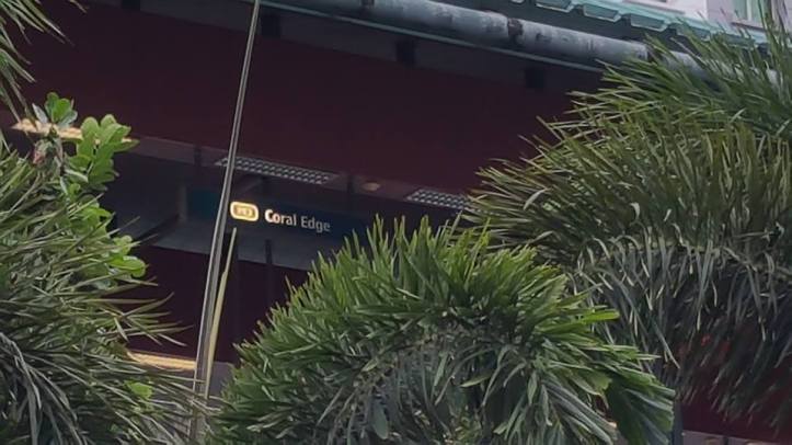 17022290_1313121918744472_6087953799467747600_n